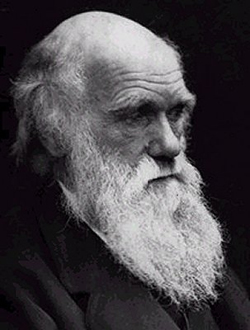 Darwin